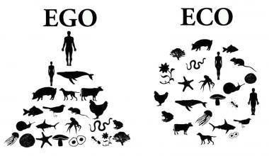Ecosystem, not Egosystem Ecosystem, not Egosystem