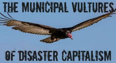 Municipal vulture Photo of a vulture with text that reads, "The municipal vultures of distaster capitalism"